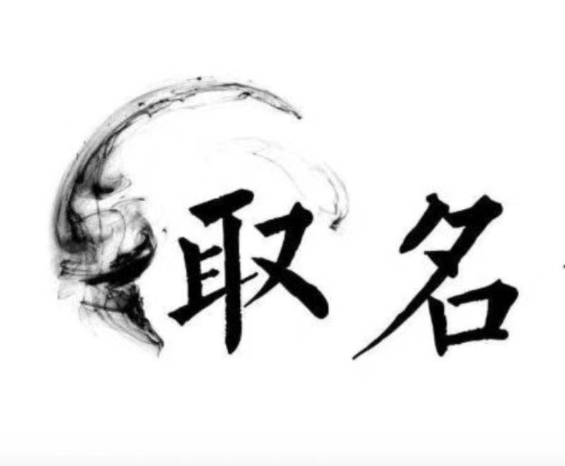  云龙宝宝取名 大师一对一人工起名