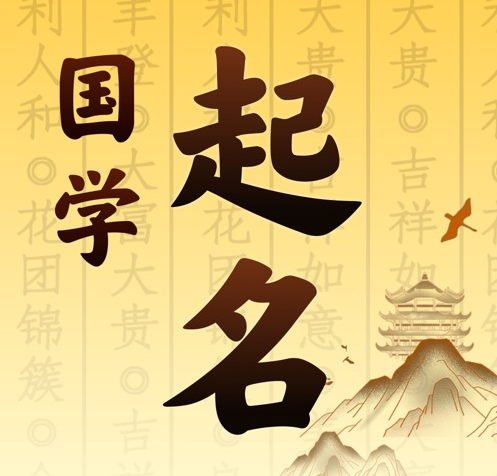 云龙国学起名 人工起名一对一