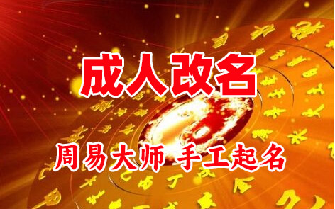 云龙成人改名-找大师一对一改名先分析后改名